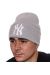 Шапка L19014 світло-сірий